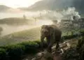 Sri Lanka vs Elephant Conflict: What expats need to know