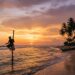 Sri Lanka Tourism 2026: A temporary dip or new opportunity?